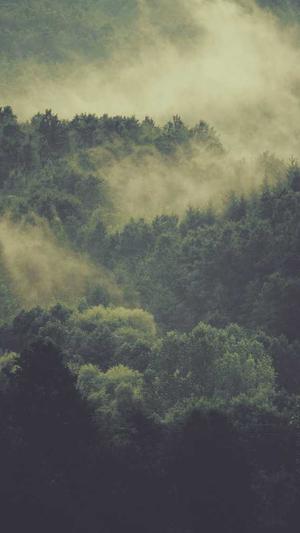 孕早期吃哈密瓜截图1