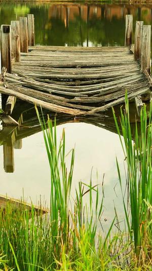 吃大瓜什么意思截图1