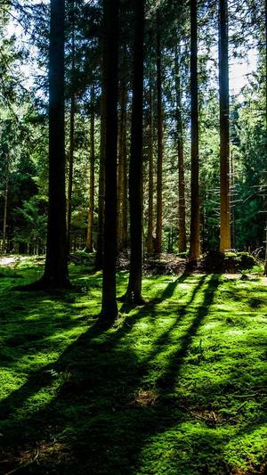 2022黑料正能量传送门截图2