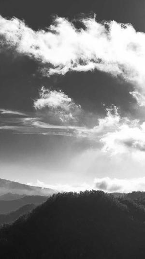 哈密瓜坐月子可以吃吗截图1