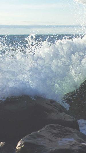 冲哥黑料最新地址截图1