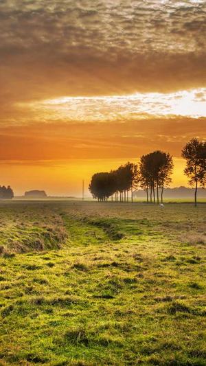 阿卡索留学网 黑料截图3