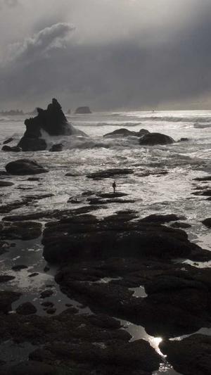 zztt24黑料不打烊截图2