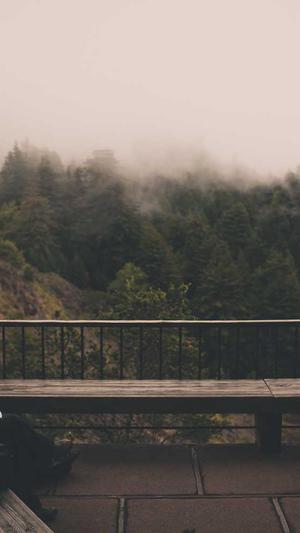 我爱吃瓜官网免费吃瓜截图2