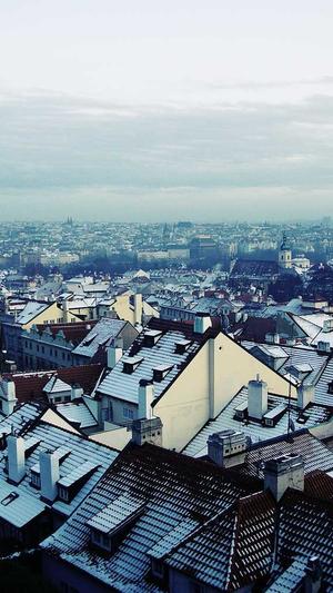 黑料在线观看截图4