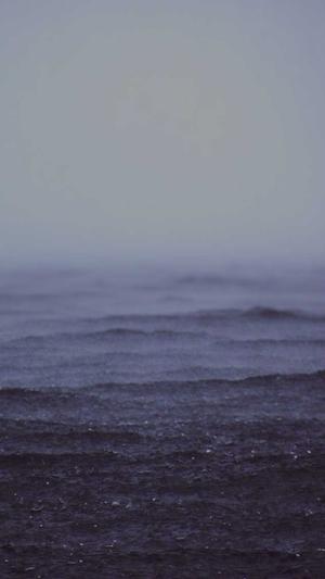 黑料不打烊app截图3