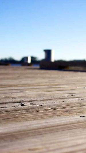 黑料:不打烊截图1