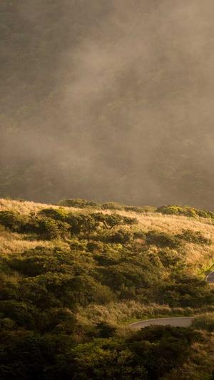 网曝门黑料吃瓜区截图3