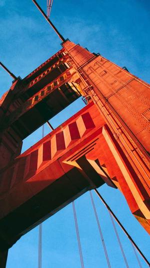 黑料不打烊网址是多少截图5