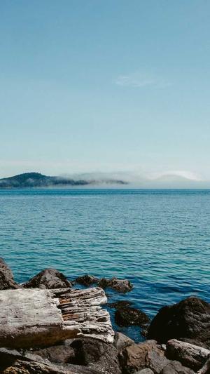 2022黑料正能量传送门截图1