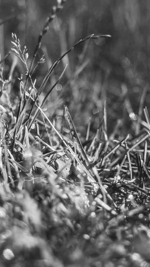 黑料不打烊,万里长征最新截图1