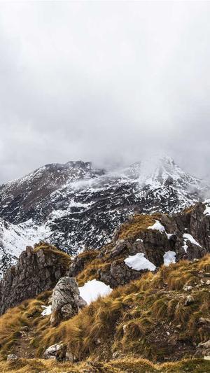 黑料正能量zzzttt传送门截图3