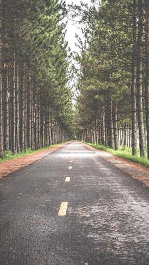 孕妇可以吃瓜吗截图1