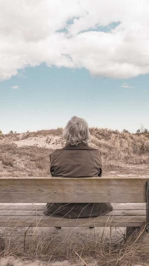 鹿邑县赵村乡全民吃瓜截图1