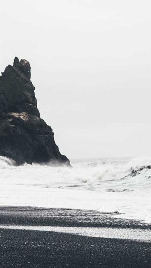 佛手瓜忌与什么一起吃截图1