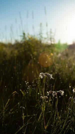 瓠子瓜怎么吃截图1