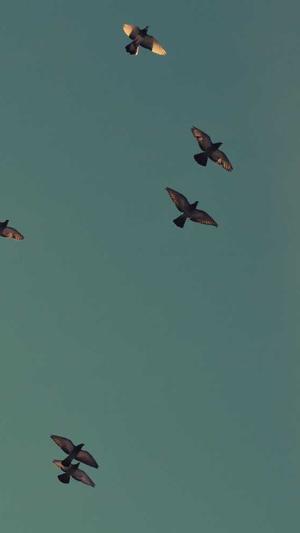 痞幼口猴哥30秒黑料不打烊视频截图3