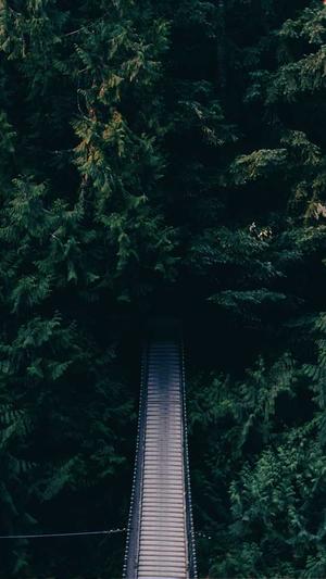 黑料正能量怎么看不了截图1