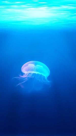 天涯黑料明星汇总截图2