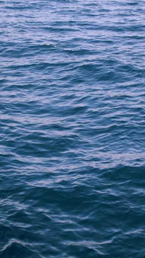 梦见在瓜地里摘瓜吃截图2