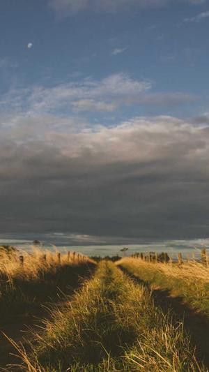 张柏芝黑料截图2