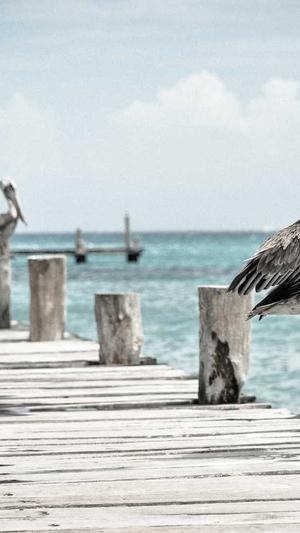 51吃瓜网 今日吃瓜截图1