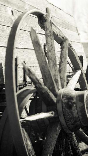 上火可以吃哈密瓜吗截图2