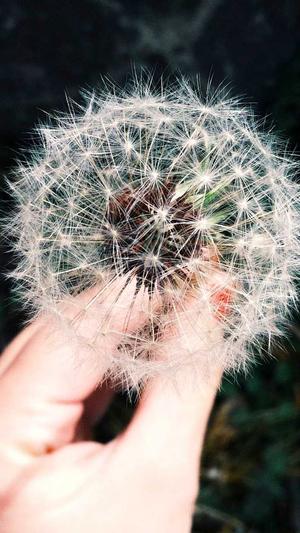 iu早年黑料截图3