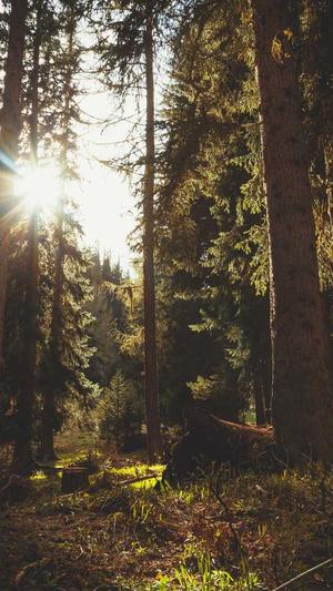 冲哥黑料地址截图2