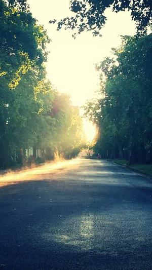 聚氨酯黑料价格截图3