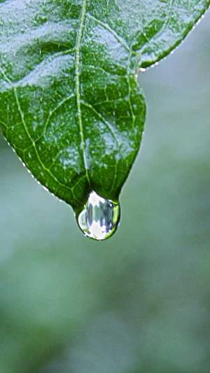 吃哈密瓜舌头刺痛感截图1