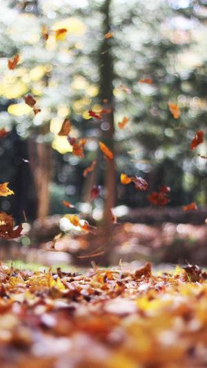 孕妇吃哈密瓜的功效与作用截图1