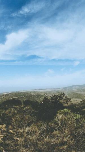 吃瓜官网黑料截图4