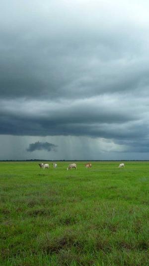 黑料不打烊网红明星截图2