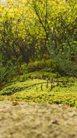 黑料正能量怎么看不了截图4