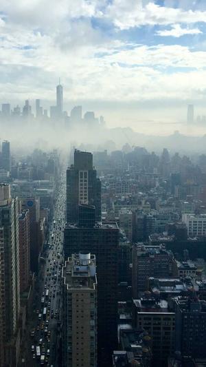 刚怀孕可以吃哈密瓜吗截图2