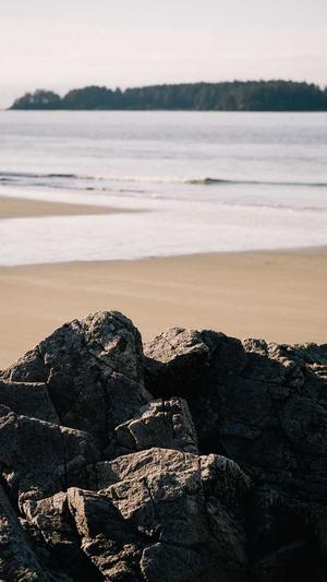 黑料不打烊导航so截图5