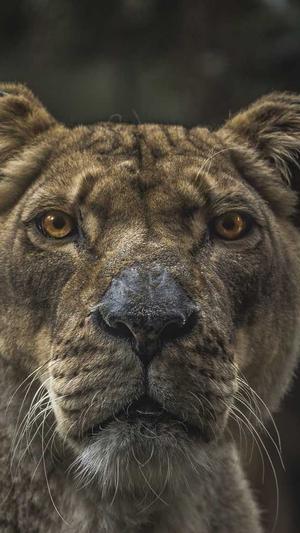 黑料正能量好资源导航截图1