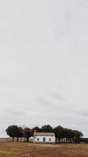 黑料不打烊网址更新app截图1