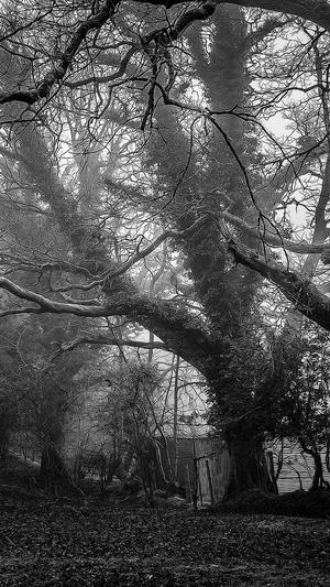 黑料进不去截图1