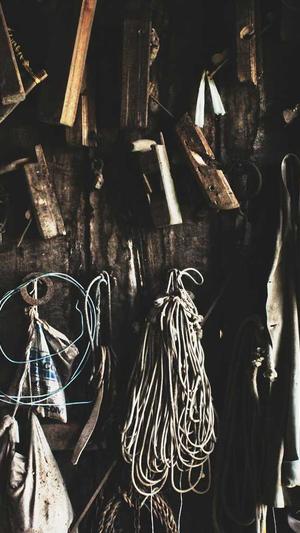 哈密瓜不能和什么吃截图4