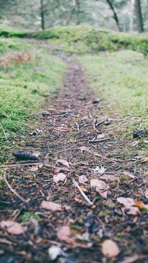 黑料不打烊网红明星截图4