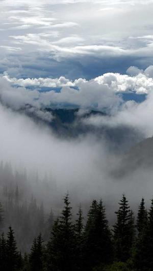 黑料正能量历史记录截图5