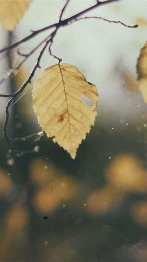 黑料不打烊之万里长征篇截图3