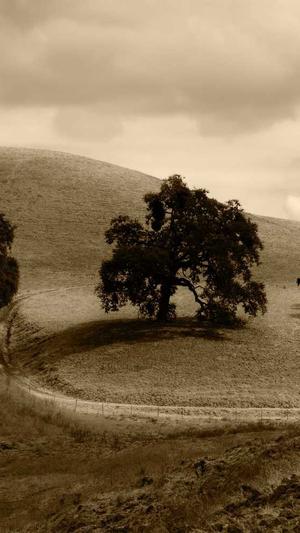 iu黑料有哪些截图4